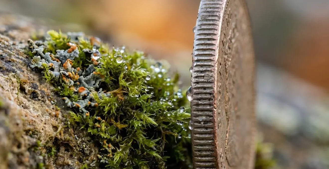 Macro close-up of organic growth patterns symbolizing sustainable investment returns